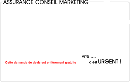 assurance conseil en marketing