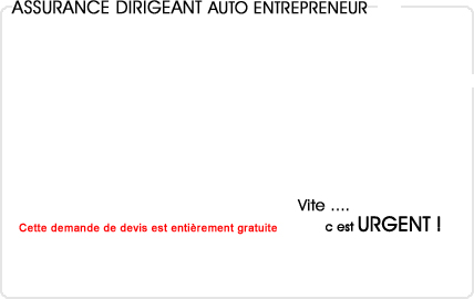 assurance dirigeant auto entrepreneur