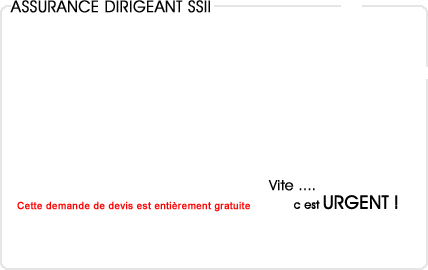 assurance dirigeant informatique (ssii)