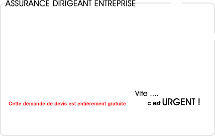 assurance dirigeant entreprise