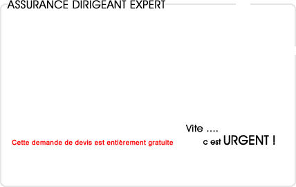 assurance dirigeant expert