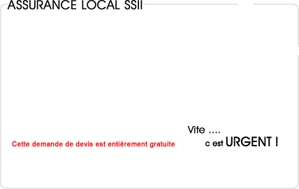 assurance local informatique (ssii)