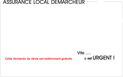 assurance local dmarcheur immobilier