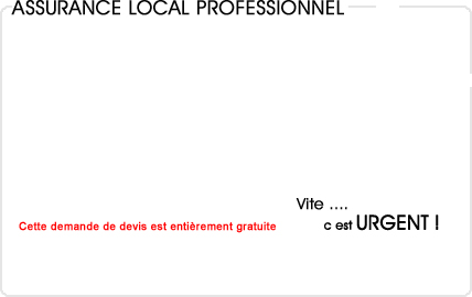 assurance local entreprise