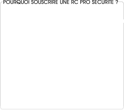 rc pro scurit gardiennage