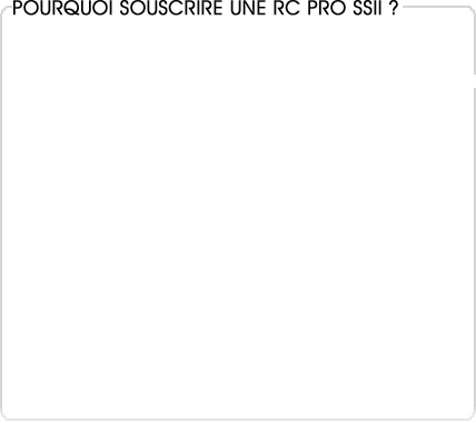 rc pro informatique (ssii)