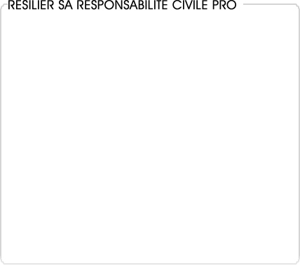 responsabilit civile professionnelle