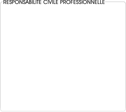 responsabilite civile professionnelle