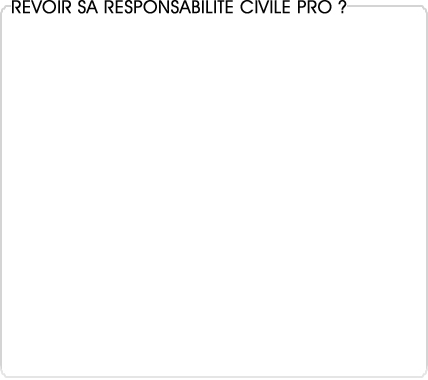 responsabilit civile professionnelle