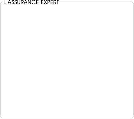 assurance expert